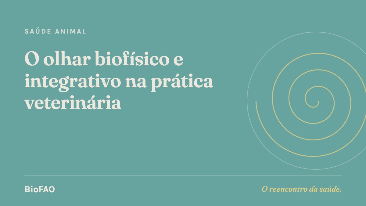O olhar biofísico e integrativo na prática veterinária