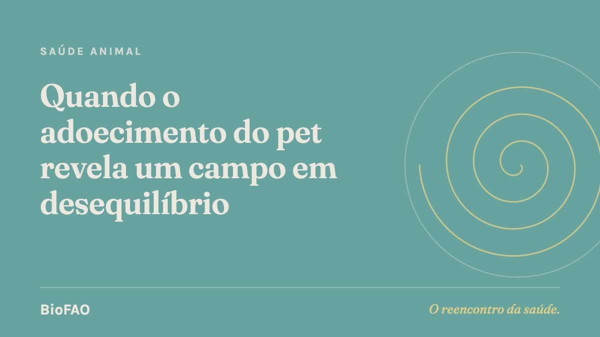 Quando o adoecimento do pet revela um campo em desequilíbrio
