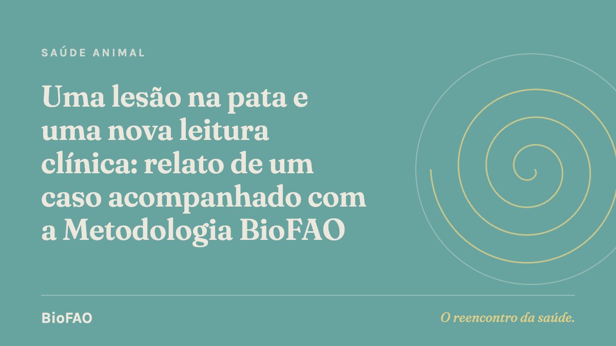 Uma lesão na pata e uma nova leitura clínica: relato de um caso acompanhado com a Metodologia BioFAO