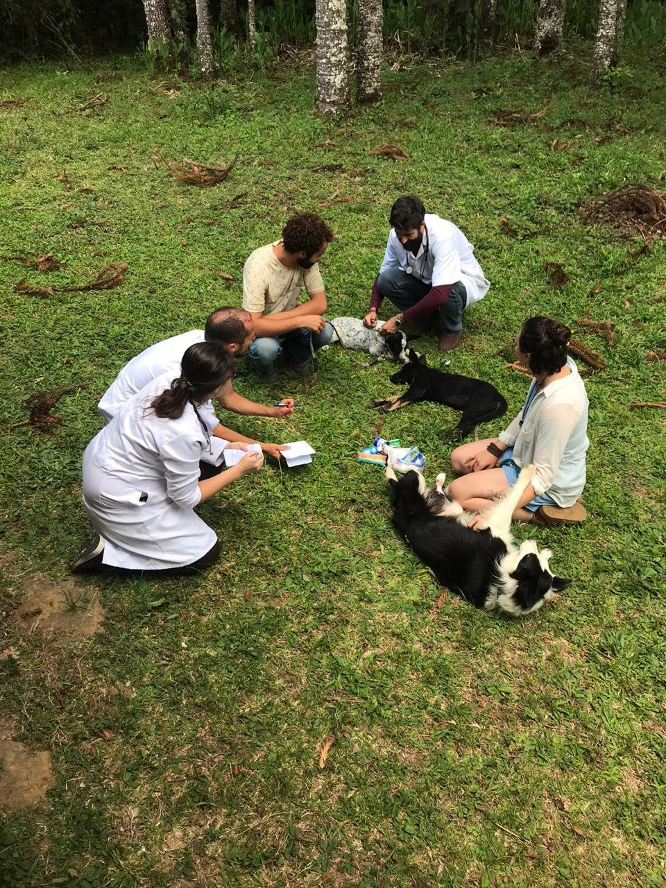 Atendimento veterinário no projeto social